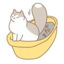 탐나는 고양이 이미지