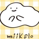 미크플로예산