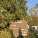 이도목장 | 아이와 함께하는 청주 목장 체험 – 다래목장에서 수제요거트 즐기기