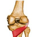 서호동-50 이미지