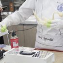 빠띠시에 이미지