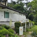 스테이단감 이미지