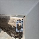 지양로152번길 이미지