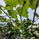 방산농장 이미지