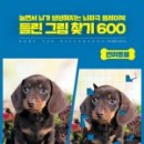 반려미디어