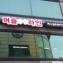 머슬앤라인청주 네이버블로그