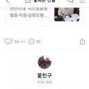 꽃친구