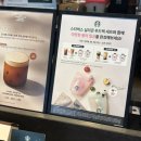 봄,푸드 | 스타벅스 봄 한정 굿즈 💗 실리콘 푸드백 핑크 실물 후기 그린 핑크 차이점 💚