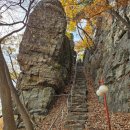 무라카 | 🏔️ 울산 단풍맛집 문수산, 왕복1시간10분 가벼운산행 + 무라카데칼국수