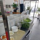 화산옥 이미지