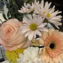 데르마피부과의원 이미지