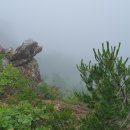 [240629 보암산~감암산] 느긋한 능선길과 암릉의 우중산행 이미지