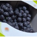 대청농원 이미지