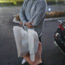 주도, 해돋이 | 2025년 11월 끄적끄적 일기