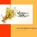 소율의캘리그라피