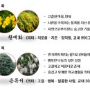 강동고등학교 | (일반고) 강동고등학교 2025 신입생 입학안내, 학교안내