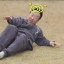 도토리(dotori) 이미지