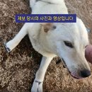 기다리다 네이버블로그