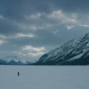 레버넌트(The Revenant, 2015) 이미지