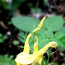 소양강둘레길 1코스 이미지