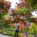 병천순대 광주식당 이미지