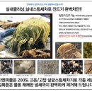 동아크리닝 이미지