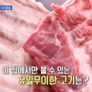 고인돌식당 이미지