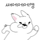 최재호 한방동물병원 이미지