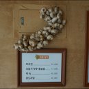 기양초 이미지