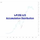 분포로 이미지