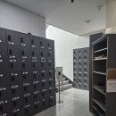 옥스휘트니스 이미지