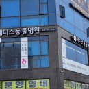 메디스메디칼 이미지