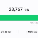 동지나