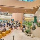 용인(강릉)졸음쉼터 이미지