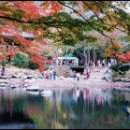 백양주유소 이미지