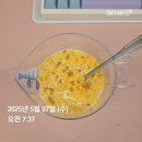 5월 2째주┃주3일제