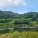 유곡마을 회관앞 이미지