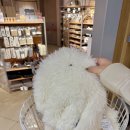 버스터미널 뒤 경동로 | 일본 하카타역 근처 쇼핑 버스터미널 다이소 스탠다드 프로덕트