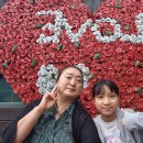 태산도예