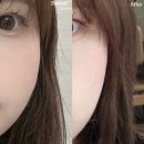 플로네아 리베스틴 다이어트 후기