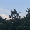 복전연쇄점 이미지