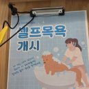 러스틱라운지 이미지
