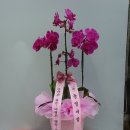 동영개발 이미지