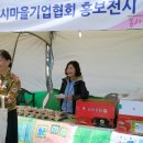 (주)디자인하는사람들 네이버블로그