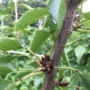 바우농장 이미지