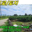관통 교차로 2 Daum카페