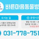함께하는동물병원 이미지