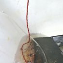 쏘갈매운탕 이미지