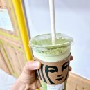 (주)솜바이오 이미지