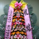 증평꽃집 이미지